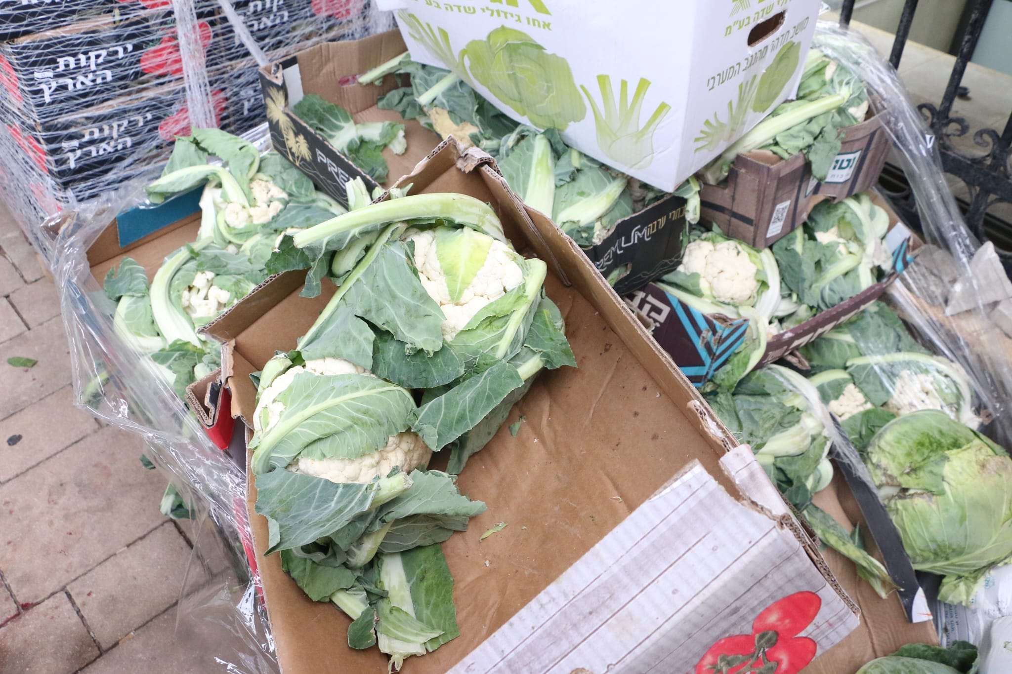 WhatsApp Image 2023-04-11 at 8.33.05 AM (1).jpeg